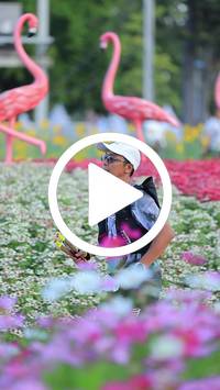 BIB:  <button type="button" onclick="openModal(27583064)" class="btn btn-primary btn-sm float-right" data-toggle="modal" data-target=".modal-high-quality">
                <i class="fa fa-download"></i> Download
                </button>